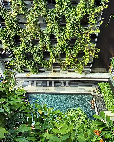 The hotel is covered in green